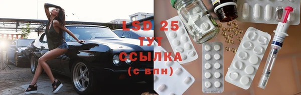 индика Балахна