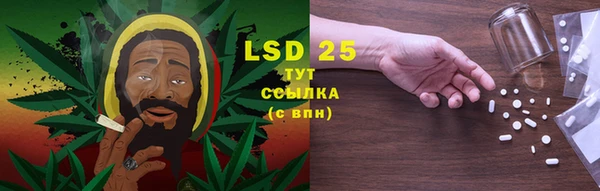 индика Балахна