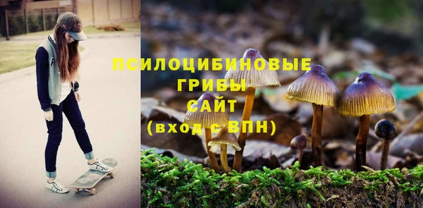 дживик Баксан