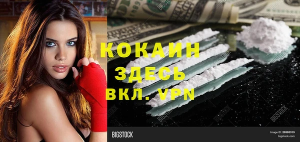 дживик Баксан