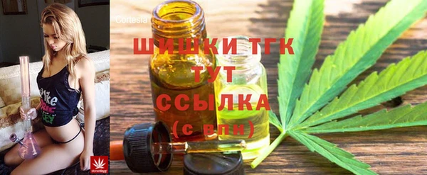 индика Балахна