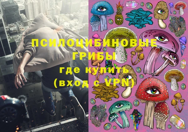 дживик Баксан